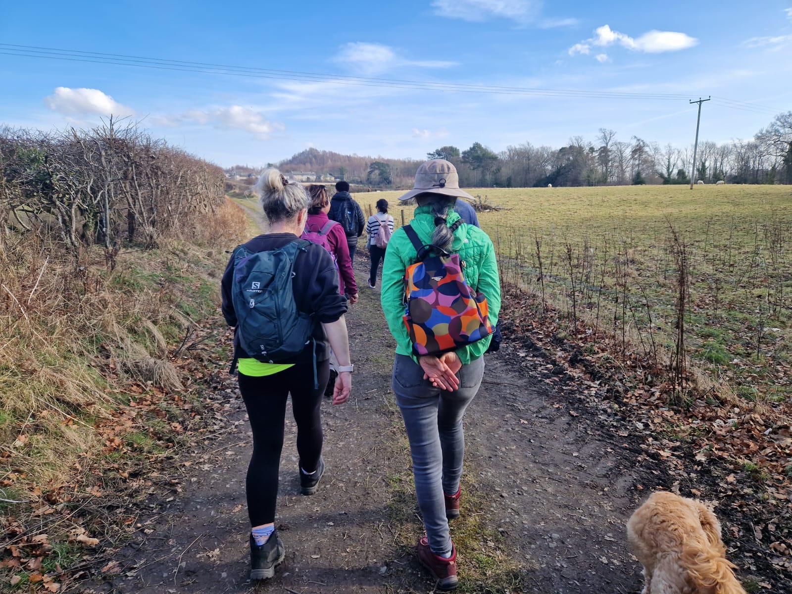 Se, P, W, SM (2) Mar 2025